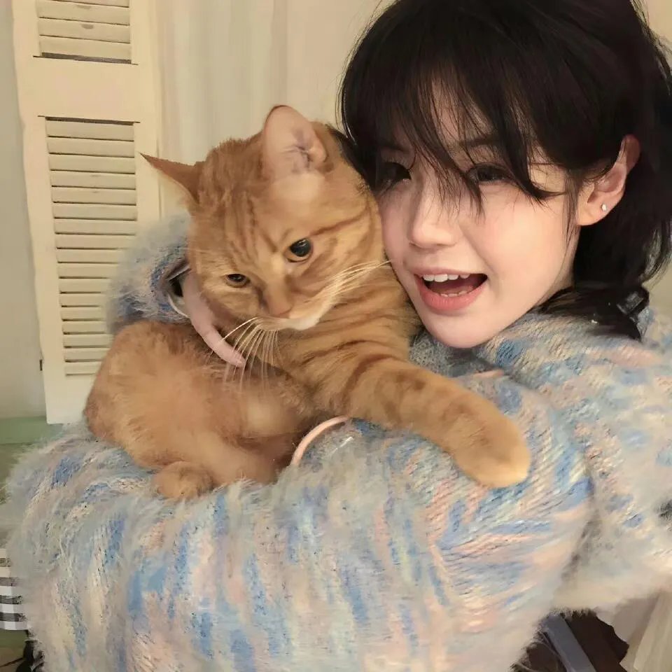 羊毛战记第一季