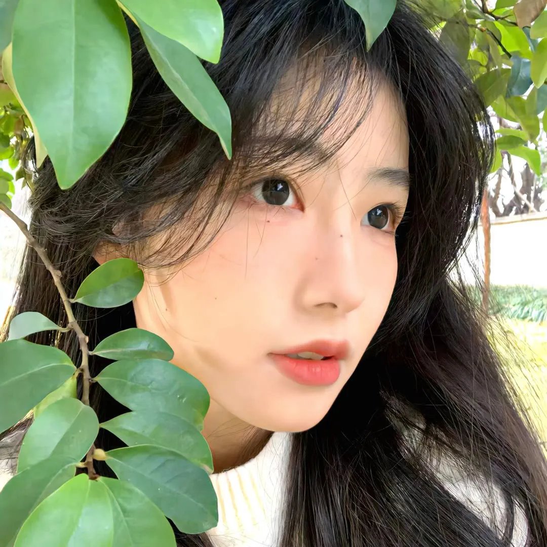 伟大的冒险